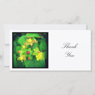 Square Foto - Hypericum Dankeskarte