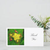 Square Foto - Hypericum Dankeskarte (Stehend Vorderseite)