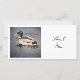 Square Foto - Mallard Duck Dankeskarte