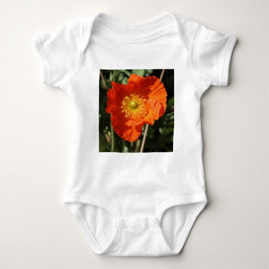 Square Foto - Orange Poppy Baby Strampler (Vorderseite)