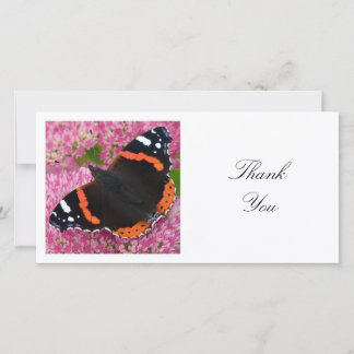 Square Foto - Red Admiral Butterfly Dankeskarte