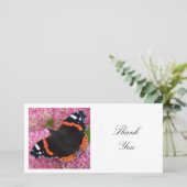 Square Foto - Red Admiral Butterfly Dankeskarte (Stehend Vorderseite)