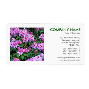 Square Foto - Rhododendren