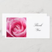 Square Foto - Rosa Kamelien Dankeskarte (Vorne/Hinten)