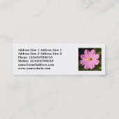 Square Foto - Rosa Kosmos Mini Visitenkarte (Rückseite)