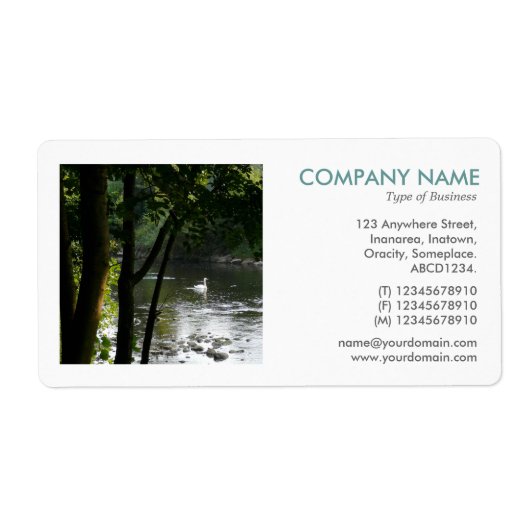 Square Foto - Schwan am Fluss (Vorne)