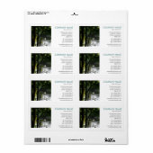 Square Foto - Schwan am Fluss (Vorne)