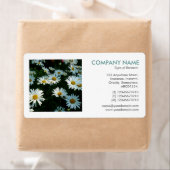 Square Foto - Shasta Daisies (Insitu)