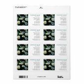 Square Foto - Shasta Daisies (Vorne)