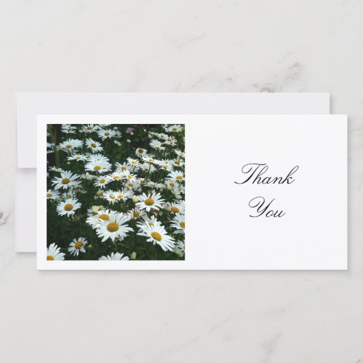 Square Foto - Shasta Daisies Dankeskarte (Vorderseite)