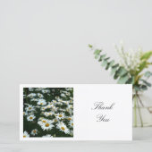 Square Foto - Shasta Daisies Dankeskarte (Stehend Vorderseite)