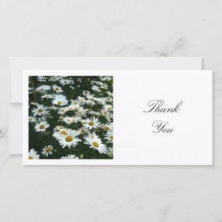 Square Foto - Shasta Daisies Dankeskarte