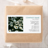 Square Foto - Shasta Daisies II (Insitu)