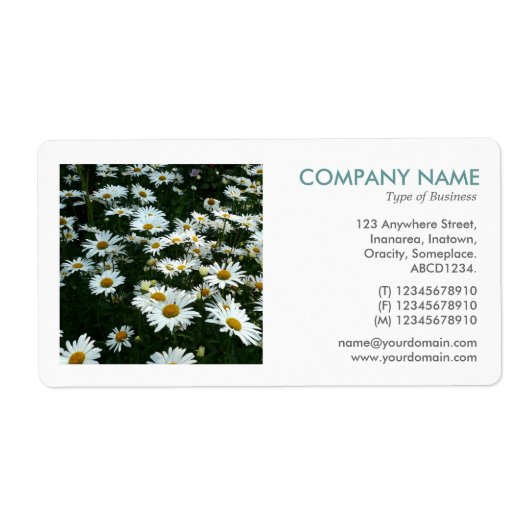 Square Foto - Shasta Daisies II (Vorne)