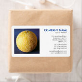 Square Foto - Sugar Melon (Insitu)