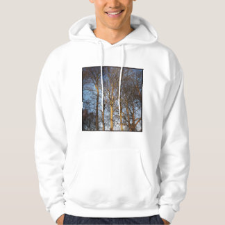 Square Foto - Sunlit Winter Trees Hoodie