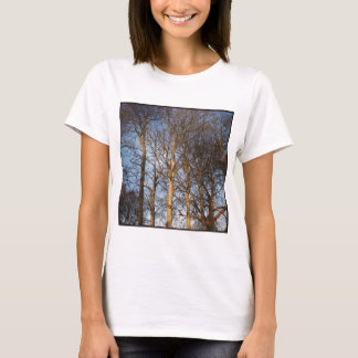 Square Foto - Sunlit Winter Trees T-Shirt