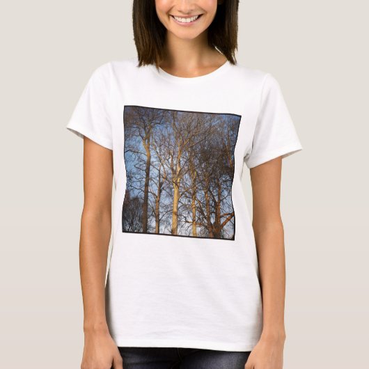 Square Foto - Sunlit Winter Trees T-Shirt (Vorderseite)