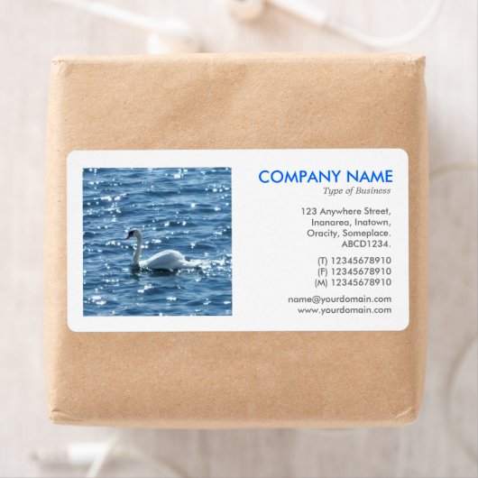 Square Foto - Swan (Insitu)