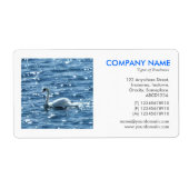 Square Foto - Swan (Vorne)