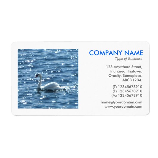 Square Foto - Swan (Vorne)