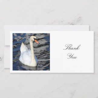 Square Foto - Swan Dankeskarte