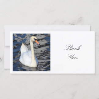 Square Foto - Swan Dankeskarte