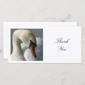 Square Foto - Swan Dankeskarte (Vorne/Hinten)