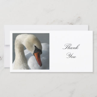 Square Foto - Swan Dankeskarte