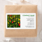 Square Foto - Tulips (Insitu)