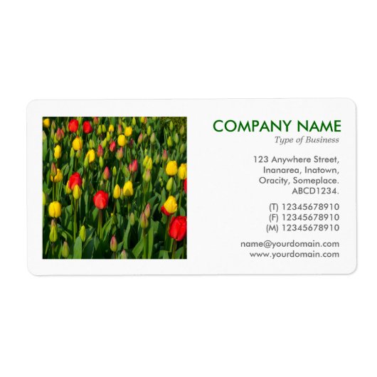 Square Foto - Tulips (Vorne)