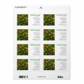 Square Foto - Tulips (Vorne)
