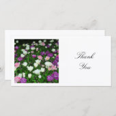 Square Foto - Tulips Dankeskarte (Vorne/Hinten)