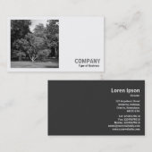 Square Foto (v2) - Bäume, Bute Park, Cardiff Visitenkarte (Vorne/Hinten)