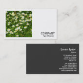 Square Foto (v2) - Daisy Meadow Visitenkarte (Vorne/Hinten)