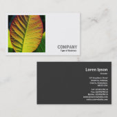 Square Foto (v2) - Farbenfrohe Linke Visitenkarte (Vorne/Hinten)