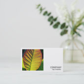 Square Foto (v2) - Farbenfrohe Linke Visitenkarte (Stehend Vorderseite)