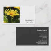 Square Foto (v2) - Gelbe Daisy Visitenkarte (Vorne/Hinten)