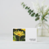 Square Foto (v2) - Gelbe Daisy Visitenkarte (Stehend Vorderseite)