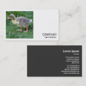 Square Foto (v2) - Gosling Visitenkarte (Vorne/Hinten)