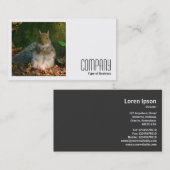 Square Foto (v2) - Graues Eichhörnchen Visitenkarte (Vorne/Hinten)