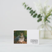 Square Foto (v2) - Graues Eichhörnchen Visitenkarte (Stehend Vorderseite)