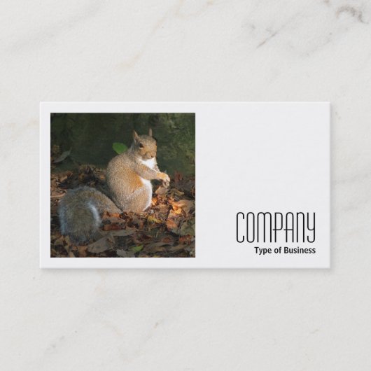 Square Foto (v2) - Graues Eichhörnchen Visitenkarte (Vorderseite)