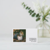Square Foto (v2) - Graues Eichhörnchen Visitenkarte (Stehend Vorderseite)