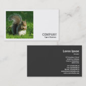 Square Foto (v2) - Gray Squirrel Eating Nuts Visitenkarte (Vorne/Hinten)