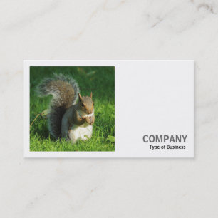 Square Foto (v2) - Gray Squirrel Eating Nuts Visitenkarte