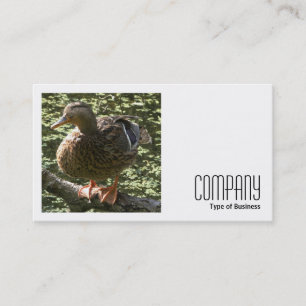 Square Foto (v2) - Happy Duck Visitenkarte