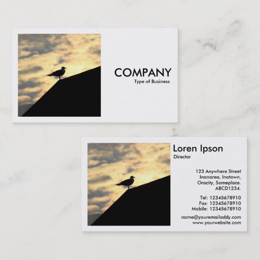 Square Foto (v2) - Hering Gull Sunset Visitenkarte (Vorne/Hinten)