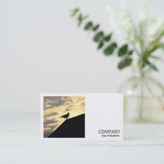 Square Foto (v2) - Hering Gull Sunset Visitenkarte (Stehend Vorderseite)