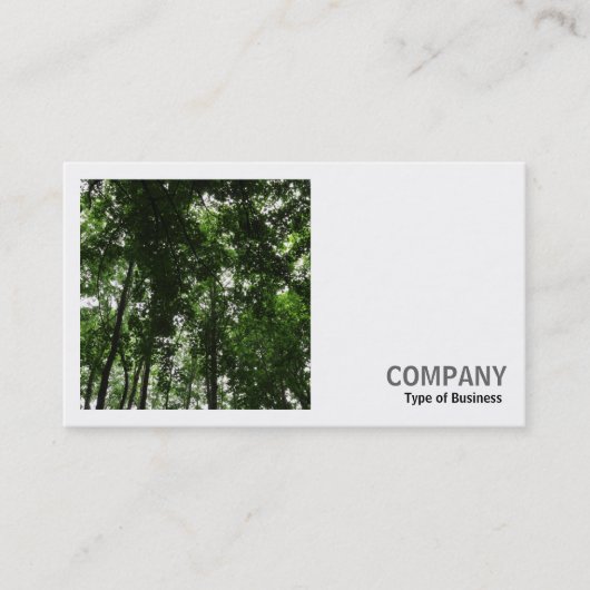 Square Foto (v2) - Holzkanopie 01 Visitenkarte (Vorderseite)